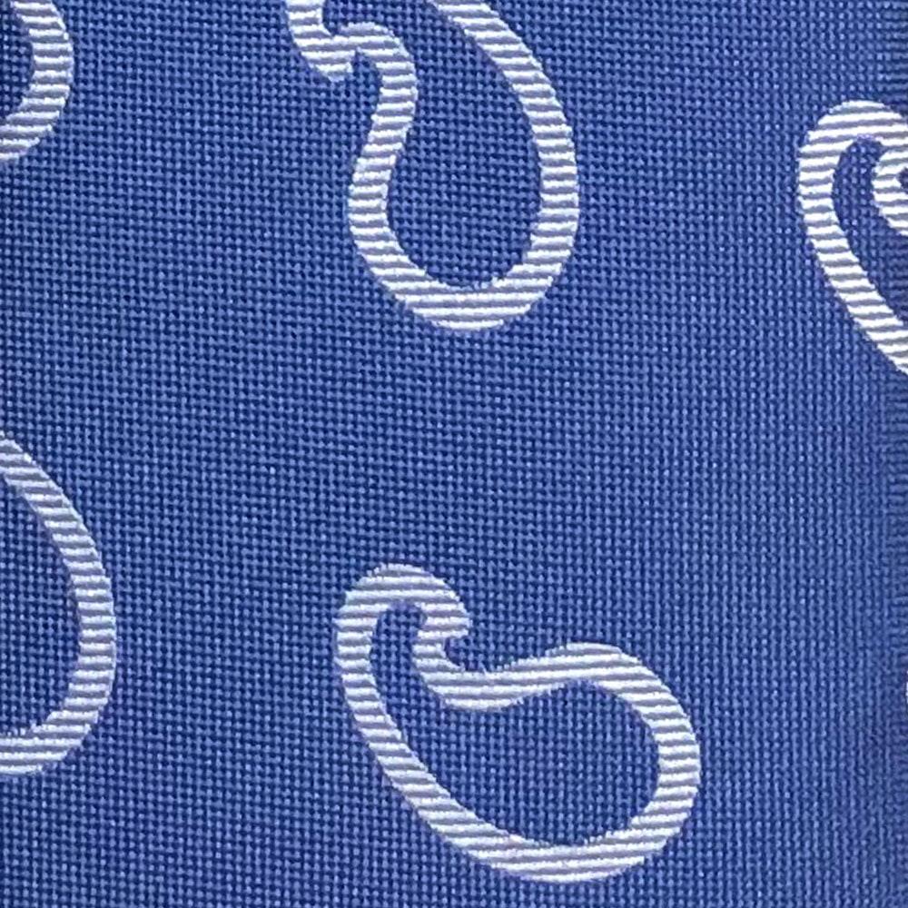 'Paisley Outlines on Blue' Tie
