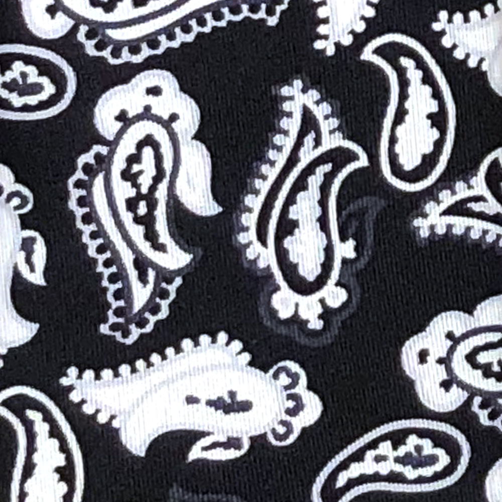 'Graphic Paisley Black & White' Tie