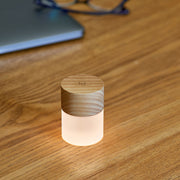'Lemelia - White Ash' Desk Light