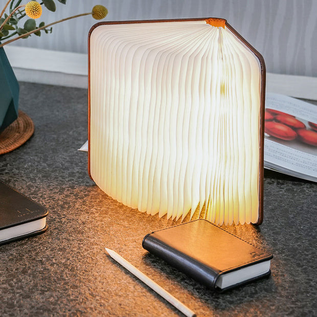 'Smart Book Large-Tan Leather' Desk Lamp