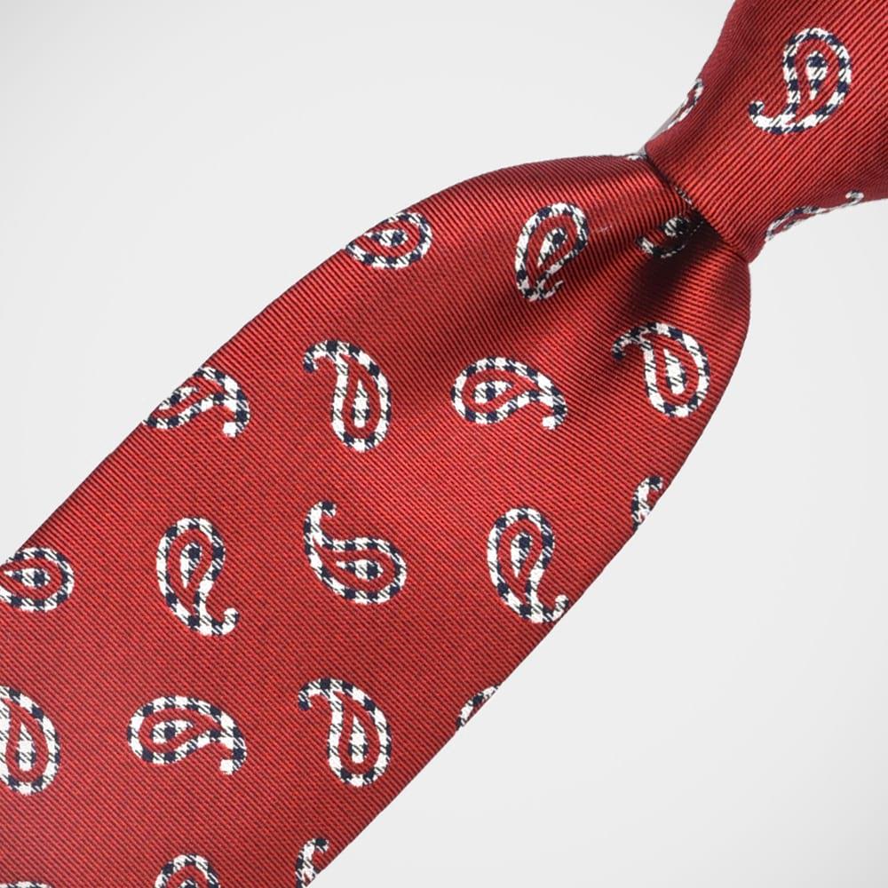 H. Halpern Esq. 'Check Paisley on Red' Tie